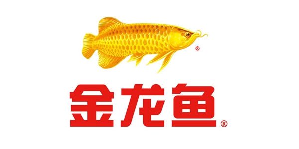 金龙鱼-玉米胚芽油市场营销方案